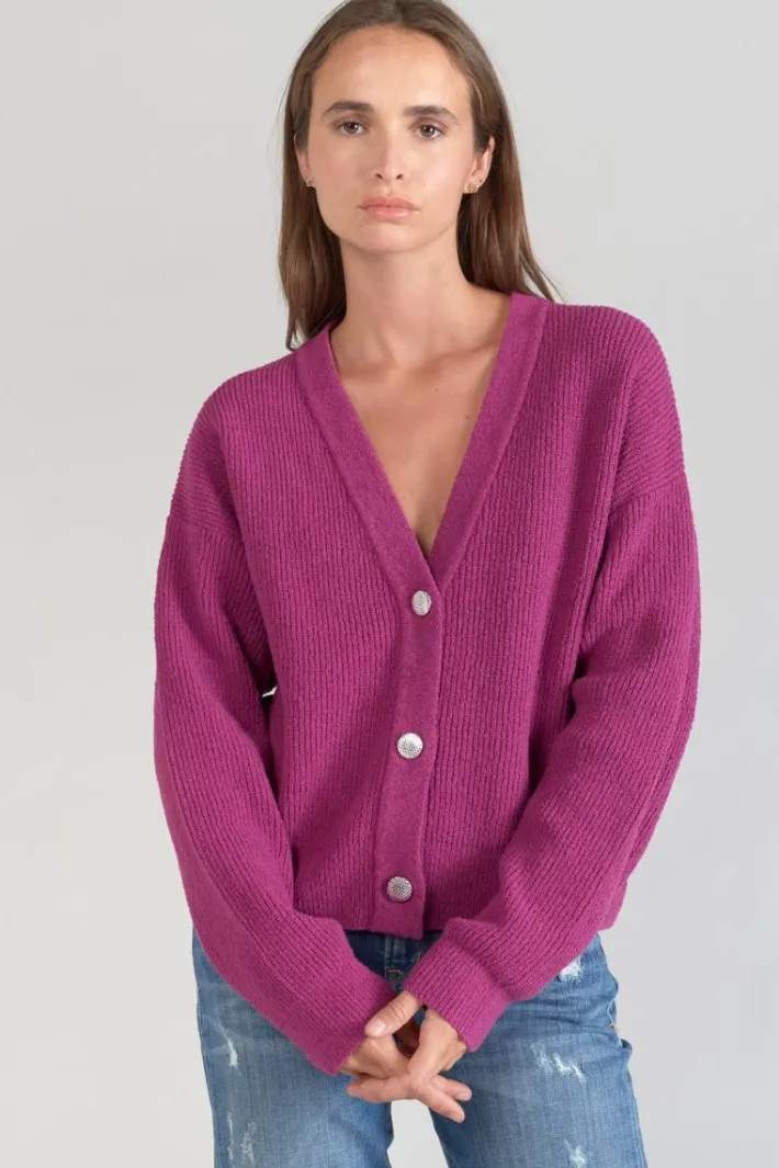 Le Temps des Cerises Cardigan Enel Violine Aster Shop